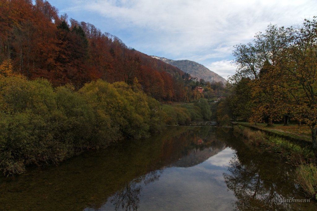 20101030_066
